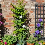 10 Garden Wall Trellis Ideas for Vertical Flowers and Vines