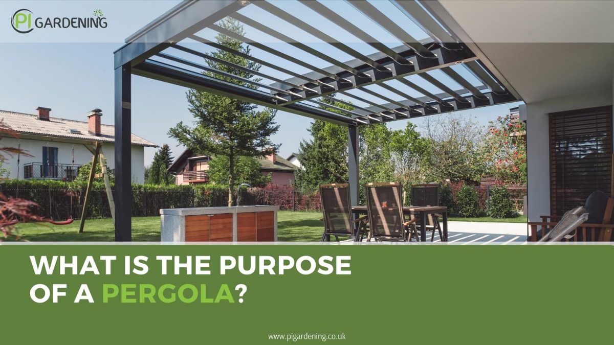 Are Pergolas Worth It? – Evaluating the Investment