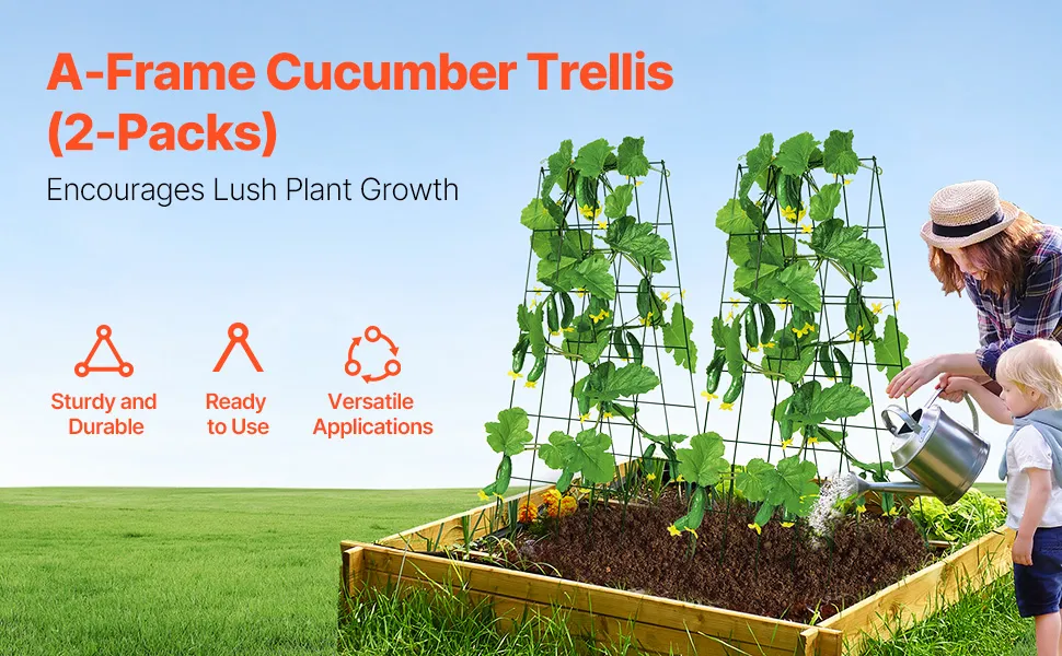 Discover What Vegetables Need a Trellis for Thriving Gardens