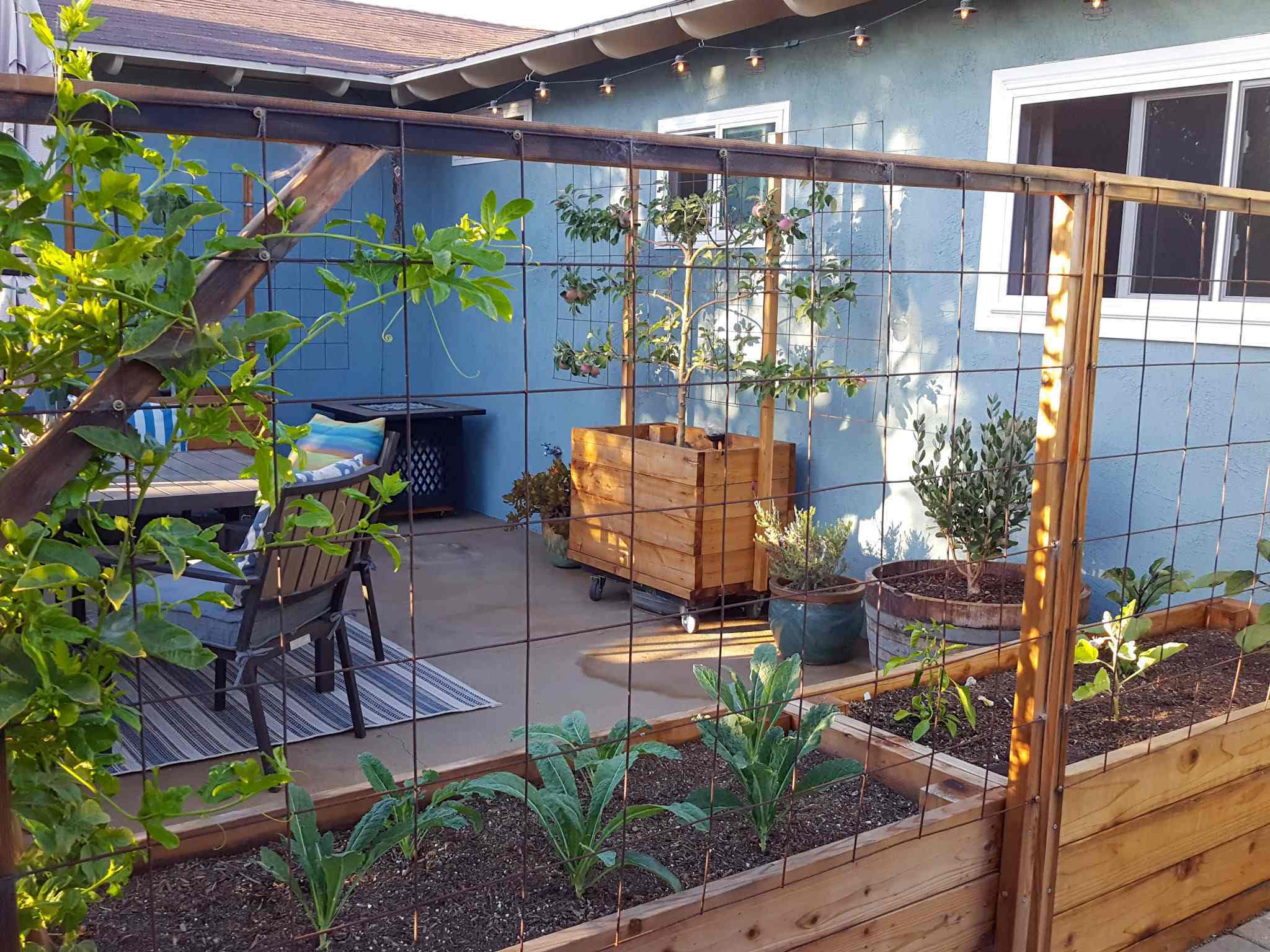Build a Stunning DIY Garden Trellis Yourself