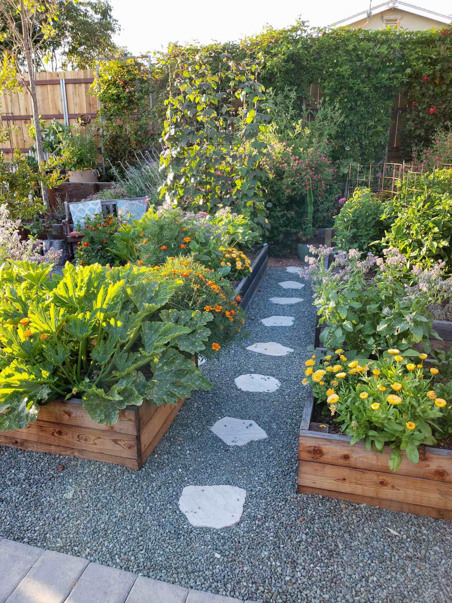 What is a Trellis – A Comprehensive Guide to Garden Structures