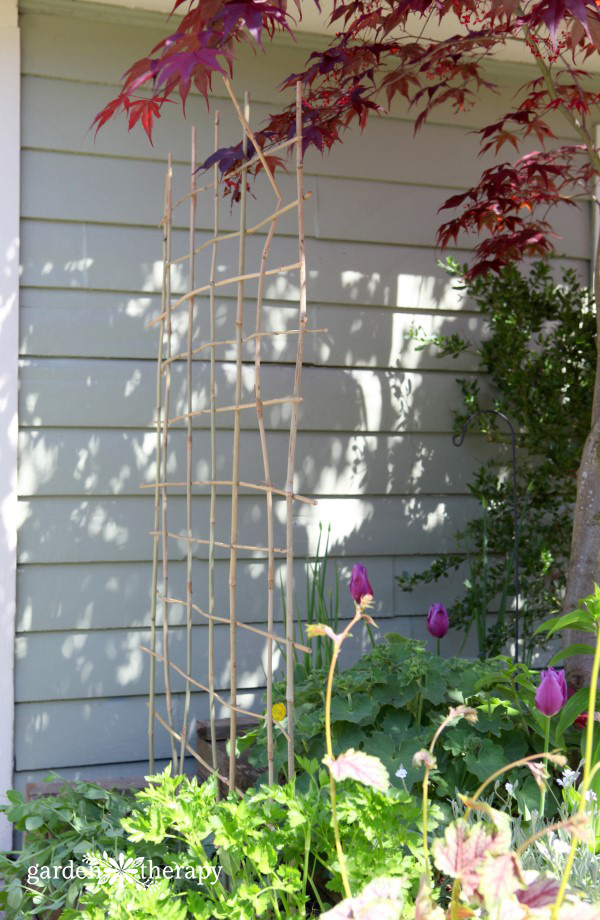 Build a Stunning DIY Garden Trellis Yourself