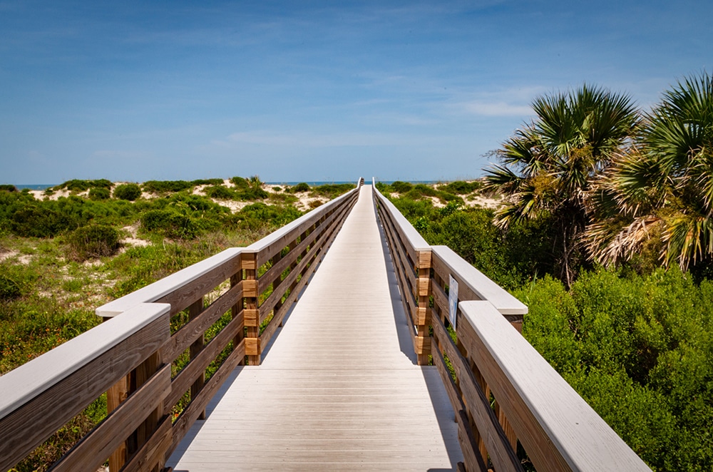 Unveiling the Truth Is the Fountain of Youth Real?