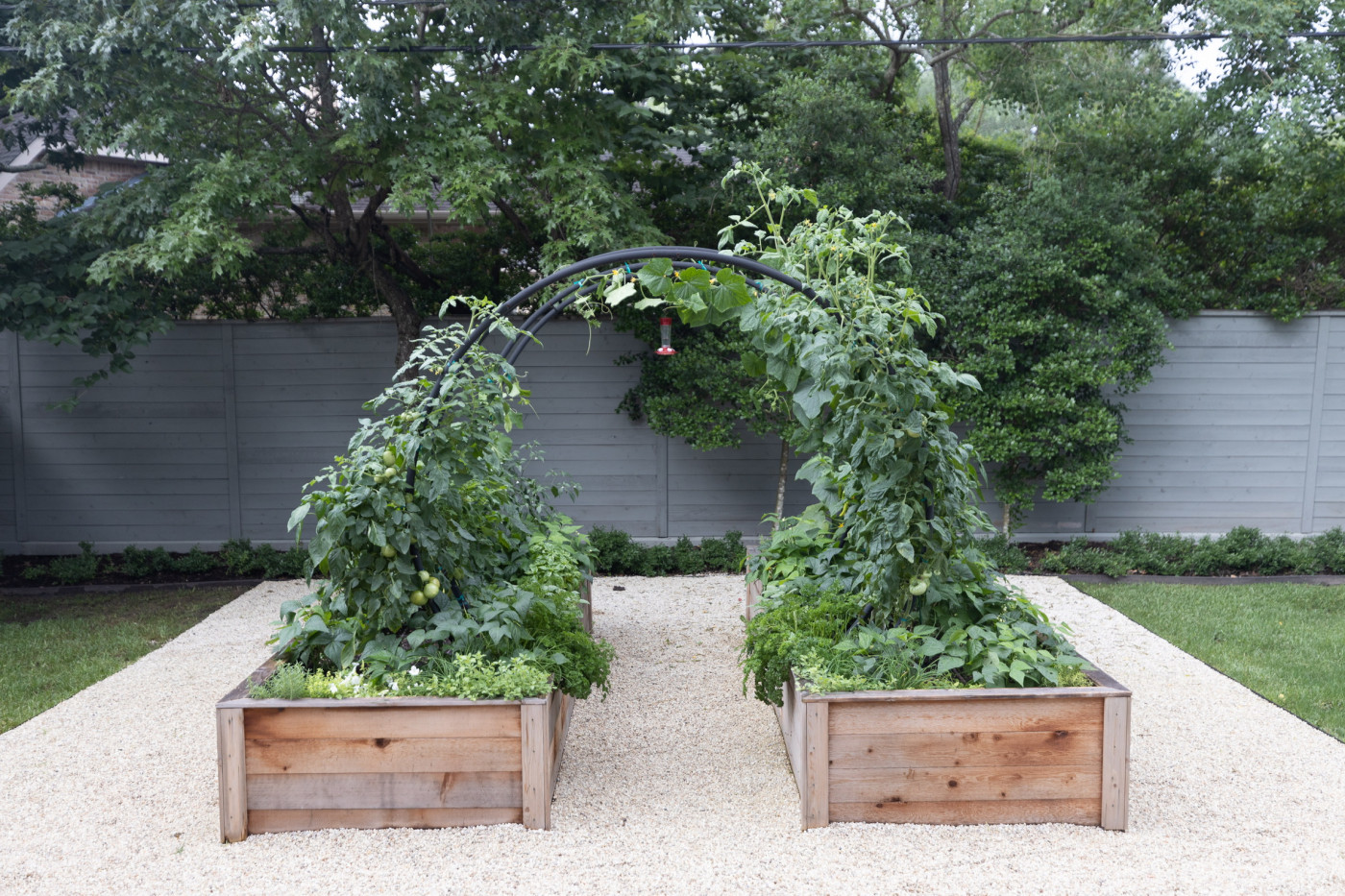 What is a Trellis – A Comprehensive Guide to Garden Structures