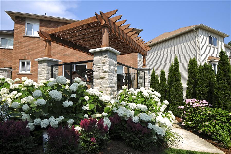 discovering the purpose of a pergola more than just shade 6984058752056.jpg