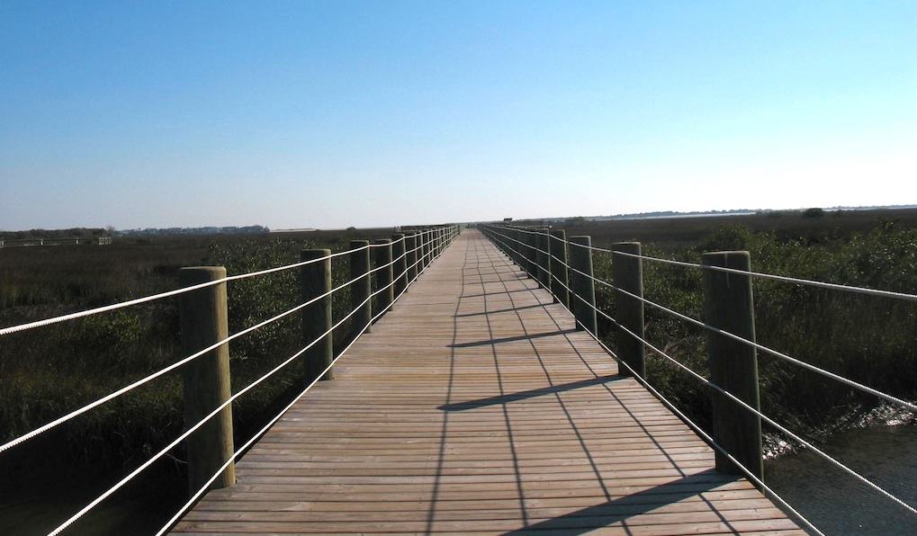 Unveiling the Truth Is the Fountain of Youth Real?