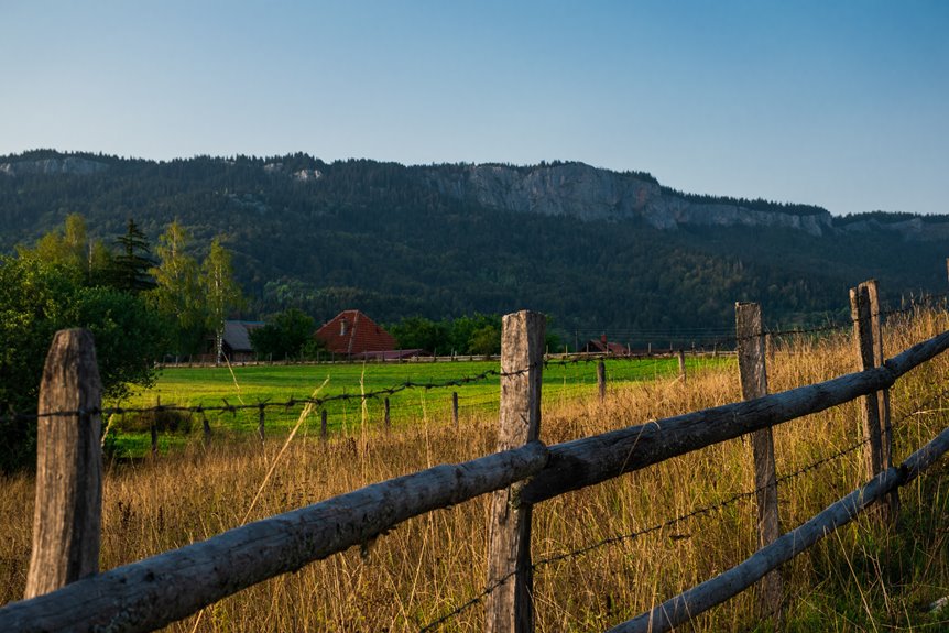 do fences break when stardew valley