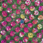 hoa approval for landscaping