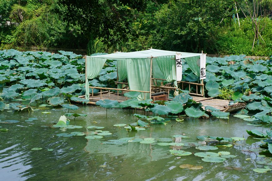 shade options for pergolas